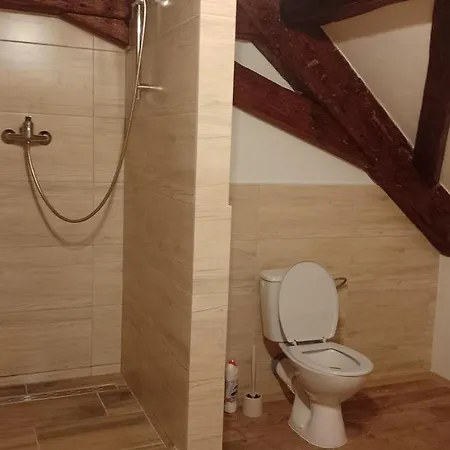 Zdirec - 1 * Zdirec (Ceska Lipa)