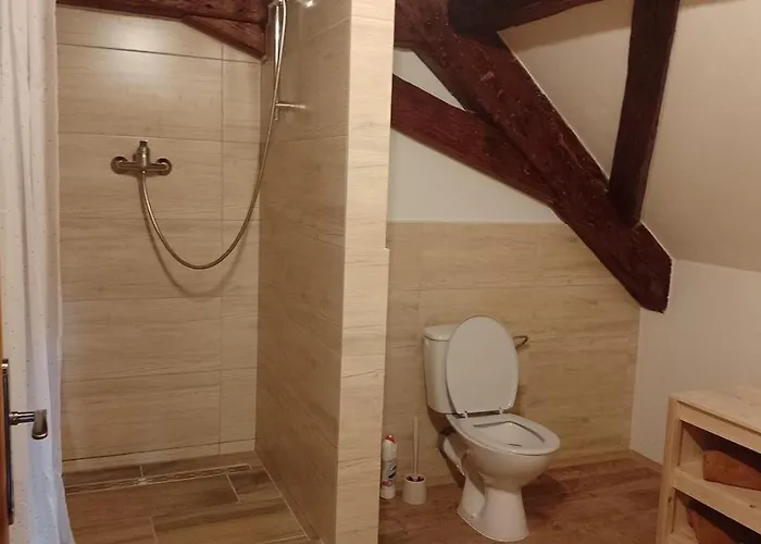 Zdirec - 1 * Zdirec (Ceska Lipa)